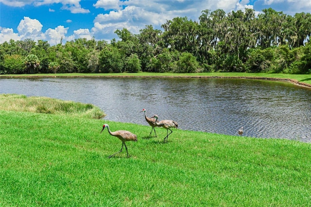 property view of water