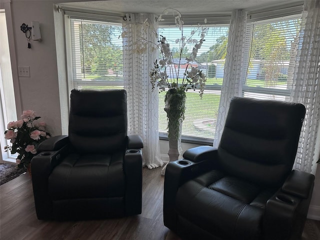 living area featuring a healthy amount of sunlight and dark hardwood / wood-style flooring