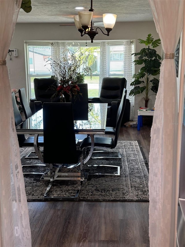 dining room featuring a wealth of natural light and dark hardwood / wood-style floors