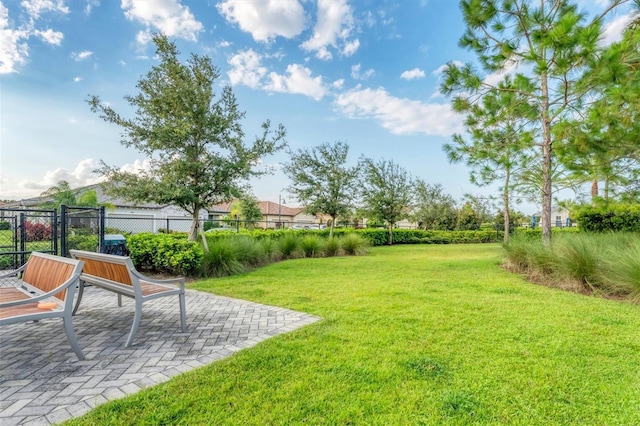 view of yard featuring a patio area