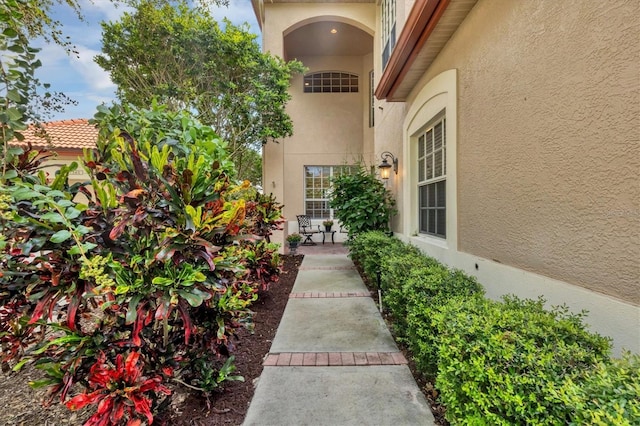 entrance to property with stucco siding