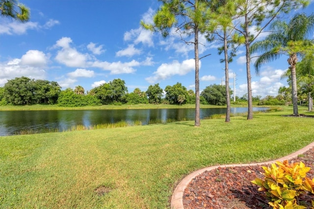 property view of water