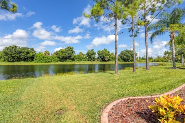 11492 Dancing River Dr, Venice, FL 34292 - photo 48