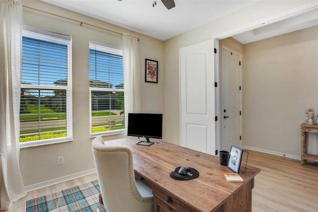 office featuring ceiling fan and light hardwood / wood-style floors