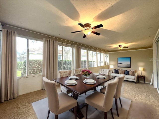 carpeted dining area with a textured ceiling, a wealth of natural light, and ceiling fan