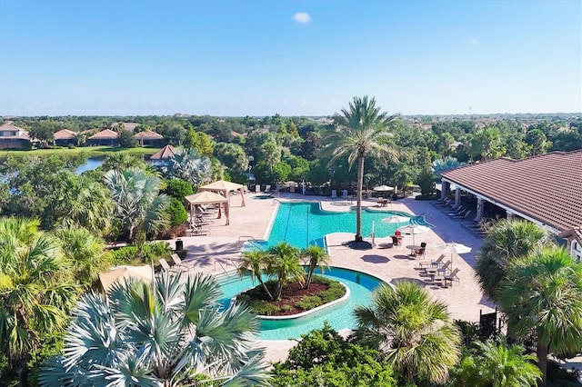 view of pool featuring a patio