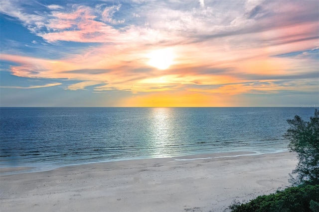 water view featuring a beach view