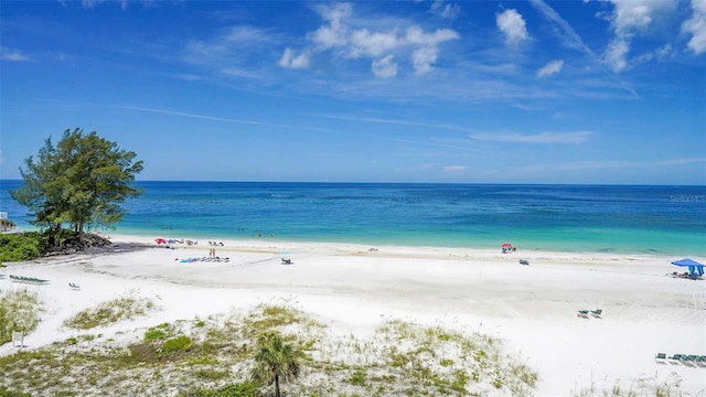 water view featuring a beach view