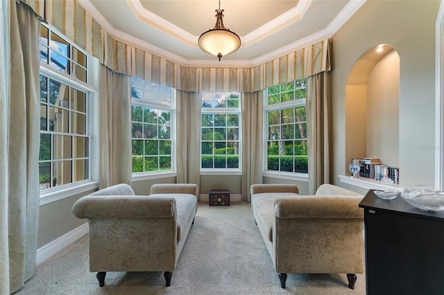 sitting room featuring a raised ceiling, ornamental molding, and light colored carpet