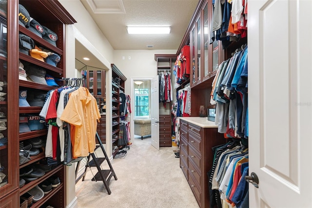 spacious closet with light carpet