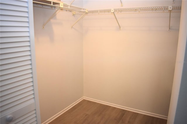 walk in closet featuring wood-type flooring