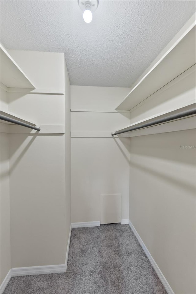 spacious closet with carpet