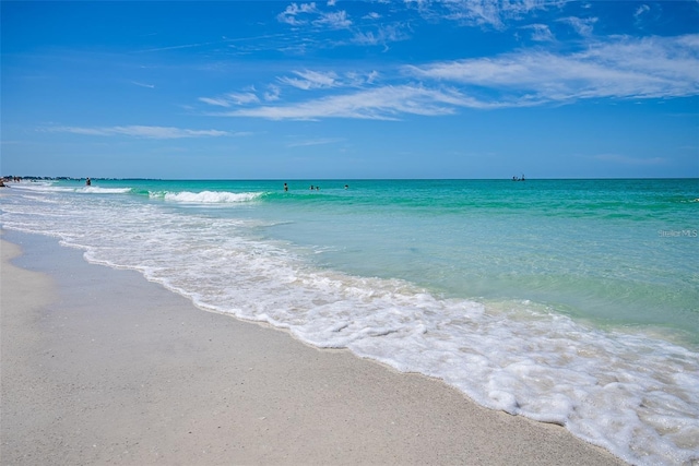 view of water feature featuring a beach view