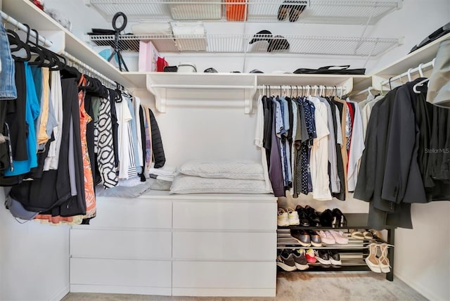 walk in closet featuring carpet flooring