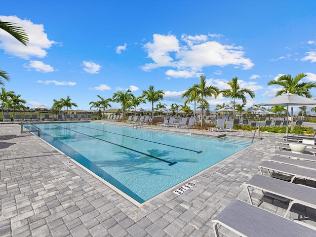 view of pool with a patio area