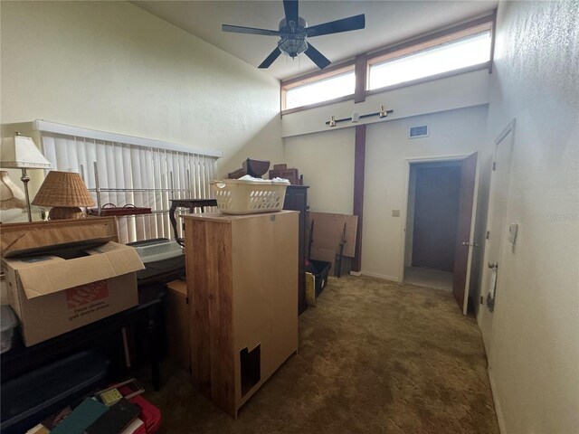 storage area featuring ceiling fan