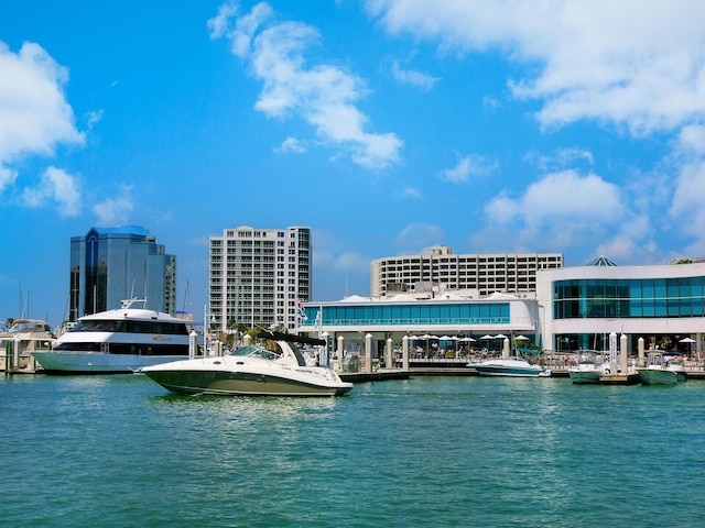 view of water feature featuring a view of city