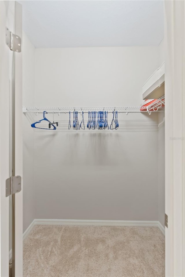 walk in closet featuring carpet