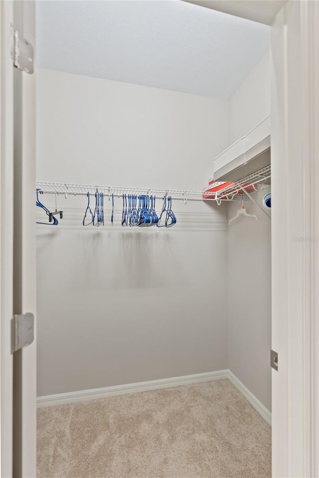 walk in closet with carpet