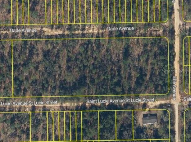 St Lucie Ave, Interlachen FL, 32148 land for sale