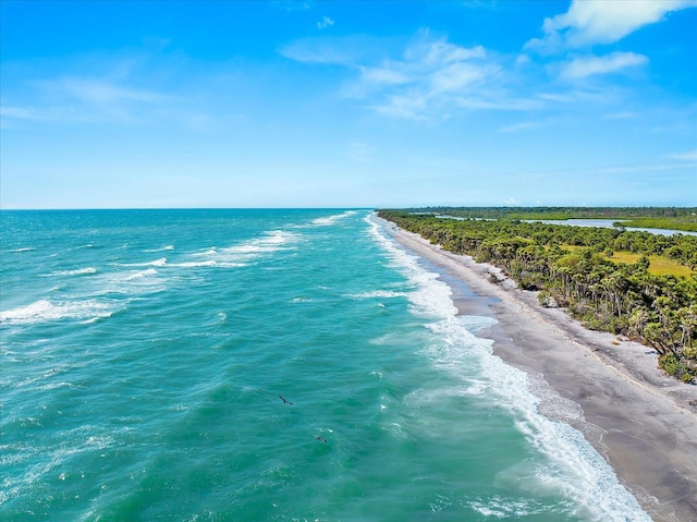 view of water feature with a beach view