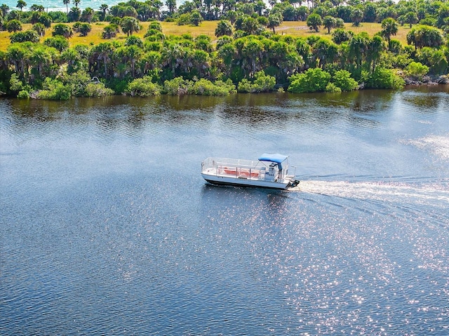 view of water feature with a boat dock