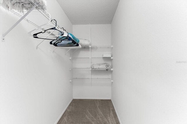 spacious closet with carpet flooring