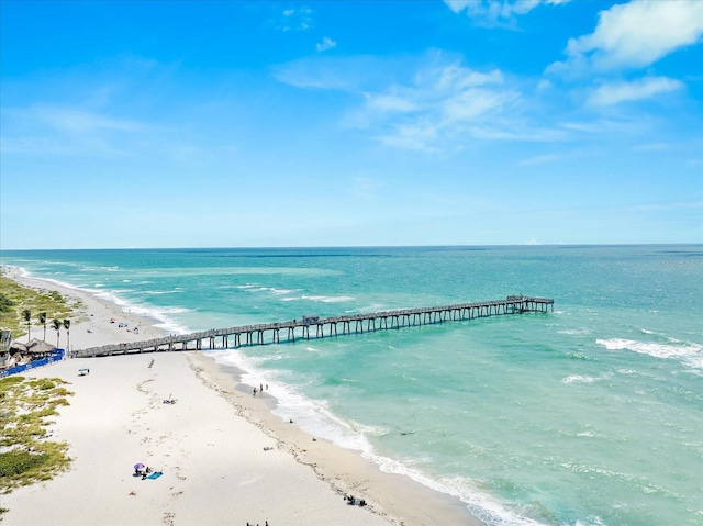 water view featuring a beach view