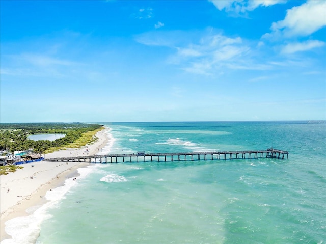 drone / aerial view with a beach view and a water view