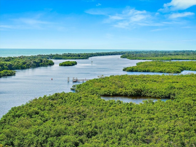 property view of water