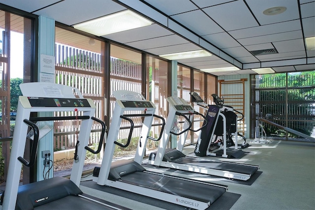 exercise room featuring carpet floors and expansive windows