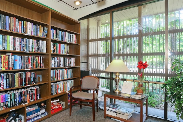 living area featuring carpet flooring