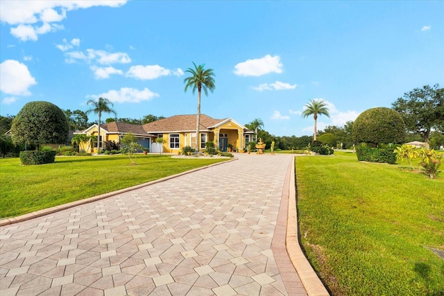 ranch-style home with a front yard