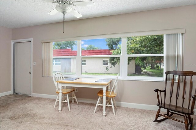 carpeted office featuring ceiling fan and a textured ceiling