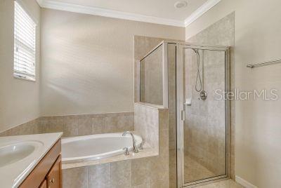 bathroom featuring independent shower and bath, vanity, and ornamental molding