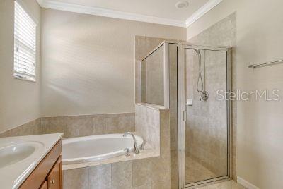 20635 Romagna Pl, Venice, FL 34293 - full bath featuring ornamental molding, a stall shower, a bath, and vanity