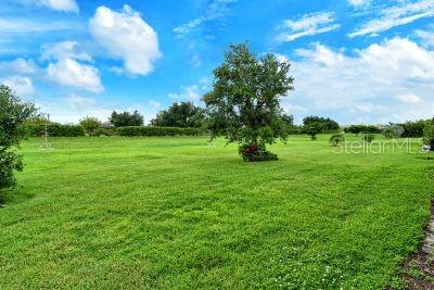 view of yard featuring a rural view