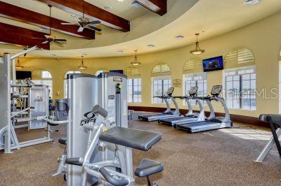 gym featuring plenty of natural light, ceiling fan, and carpet floors