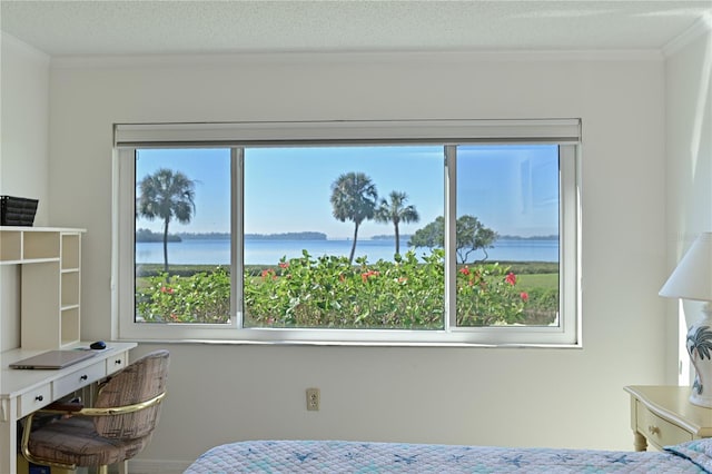 bedroom featuring a water view, multiple windows, and ornamental molding