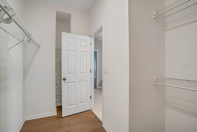 walk in closet with wood-type flooring