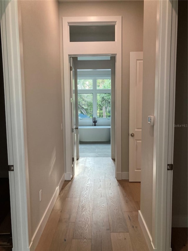 hallway with light hardwood / wood-style flooring