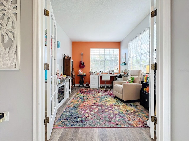 living room with a textured ceiling and hardwood / wood-style floors