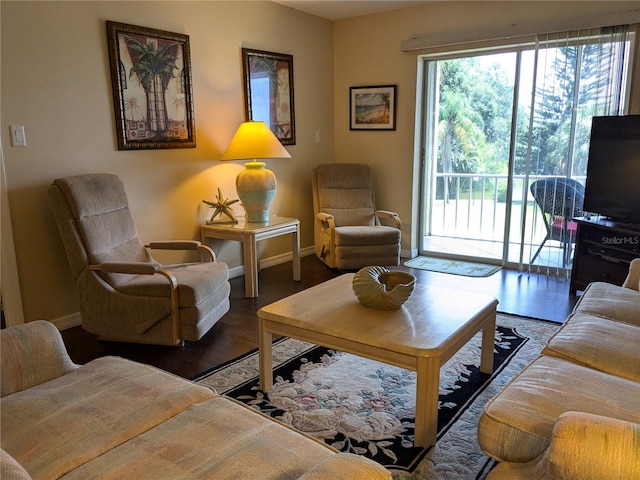 living room with dark hardwood / wood-style flooring