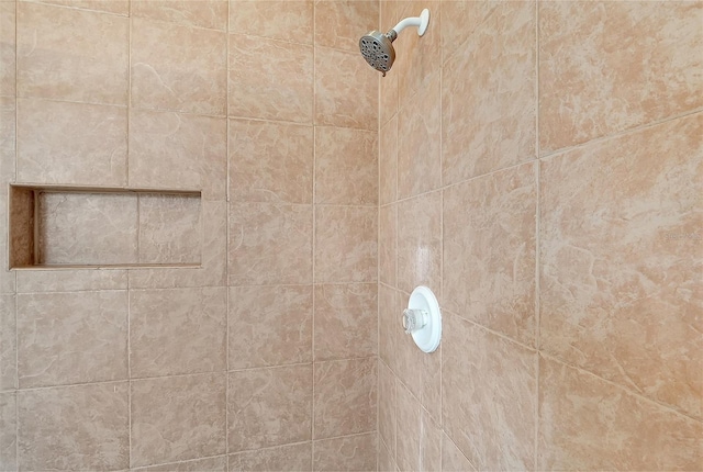 interior details featuring a tile shower