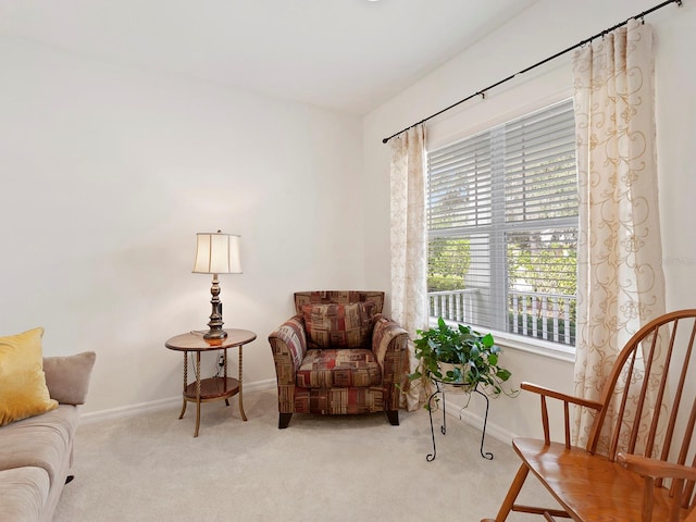 living area featuring light colored carpet