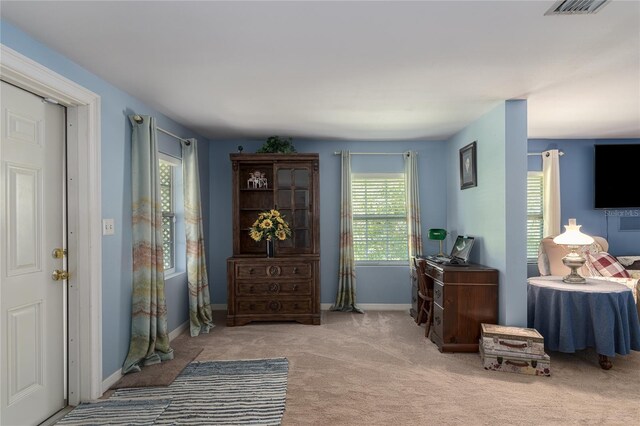 entryway with plenty of natural light and carpet