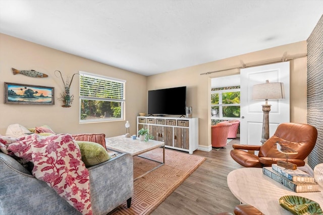 living room with hardwood / wood-style floors