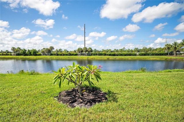 property view of water