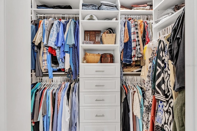 view of spacious closet