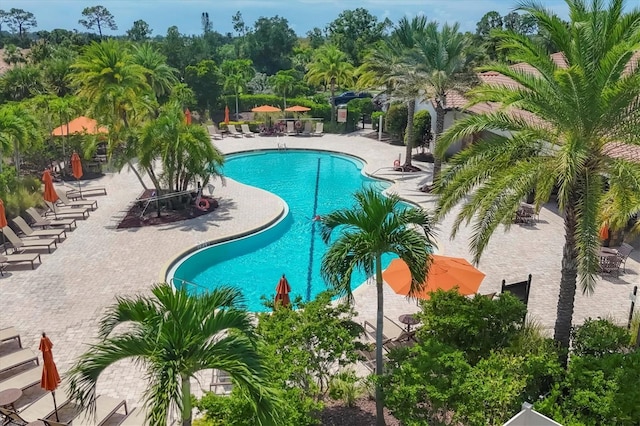 view of pool featuring a patio area